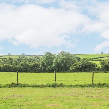 South Boduel Farmhouse Liskeard Kültér fotó